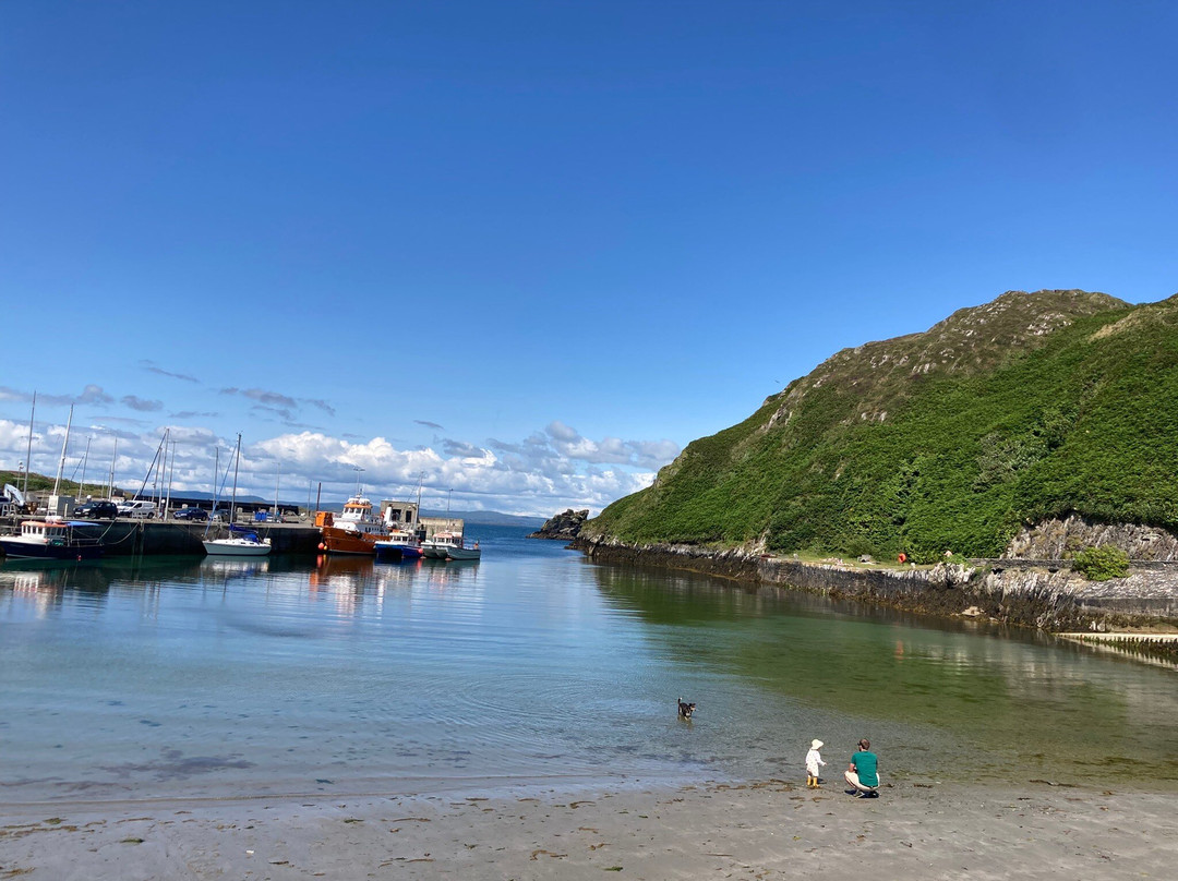 Whale Watch West Cork-Baltimore必去景点