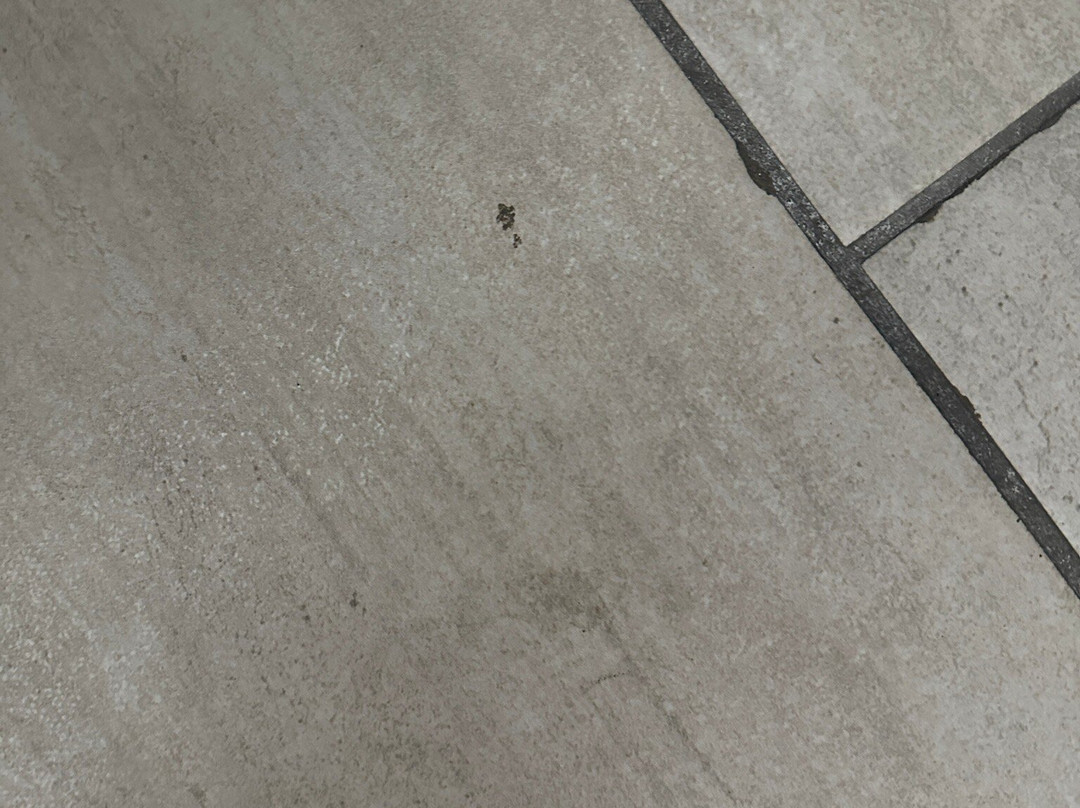 Comfort Suites Columbia主图