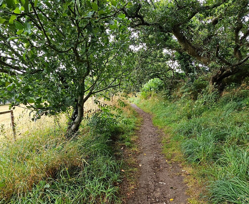 Sentier De Plomarc'h-Douarnenez必去景点
