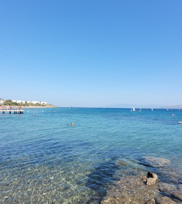 Bendis Beach Hotel主图