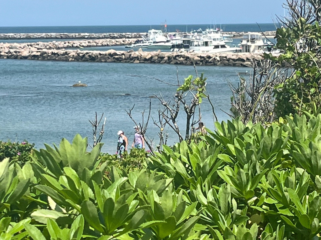 Avonlea, Jewel of the Sea主图