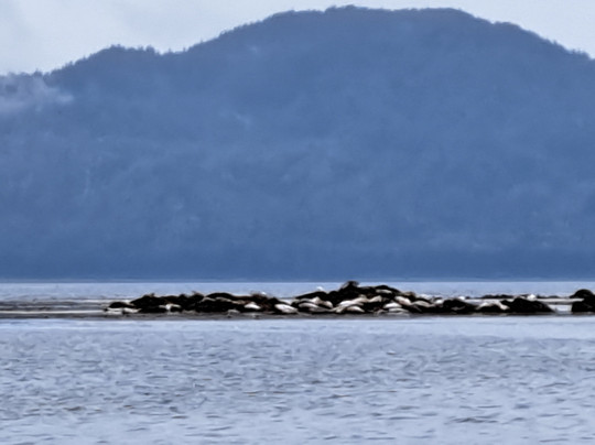 Glacier Wind Charters-胡纳必去景点