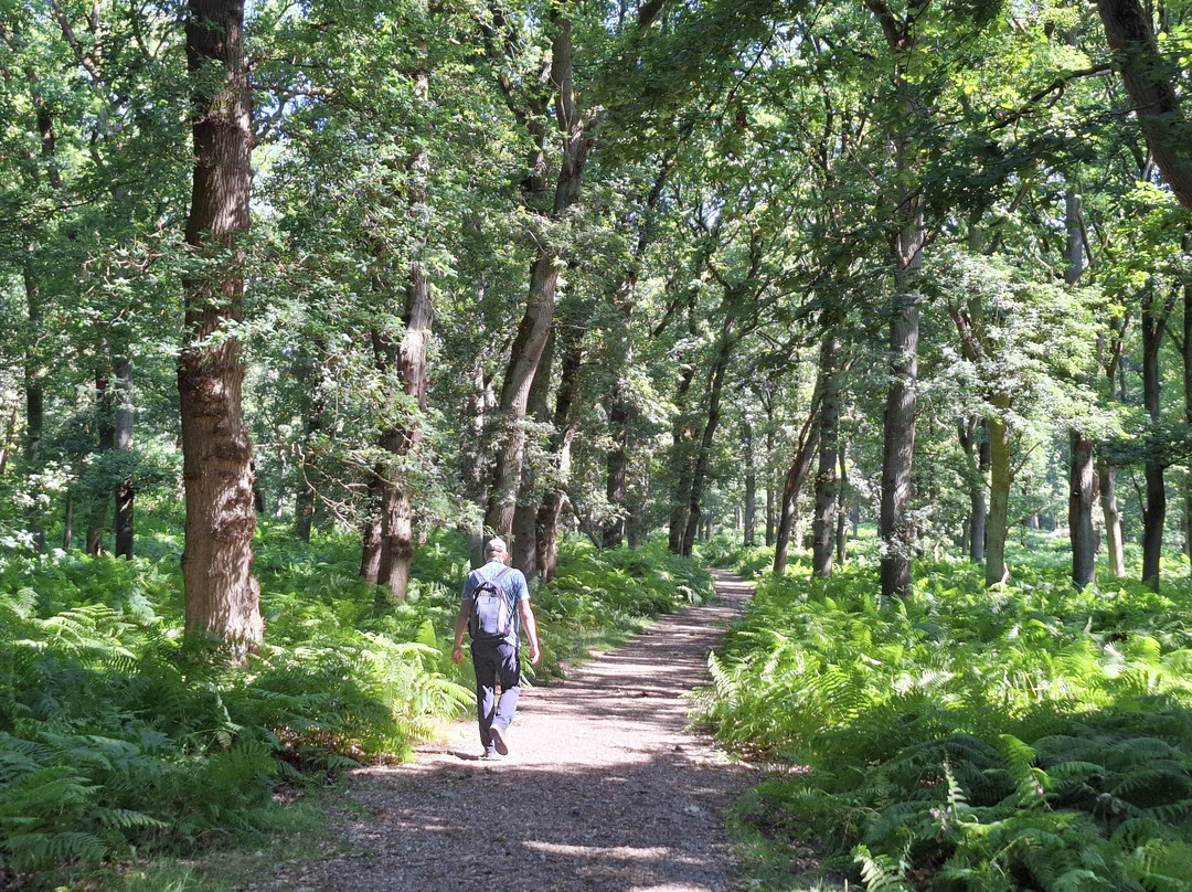 Moorerlebnisweg-韦瑟尔必去景点