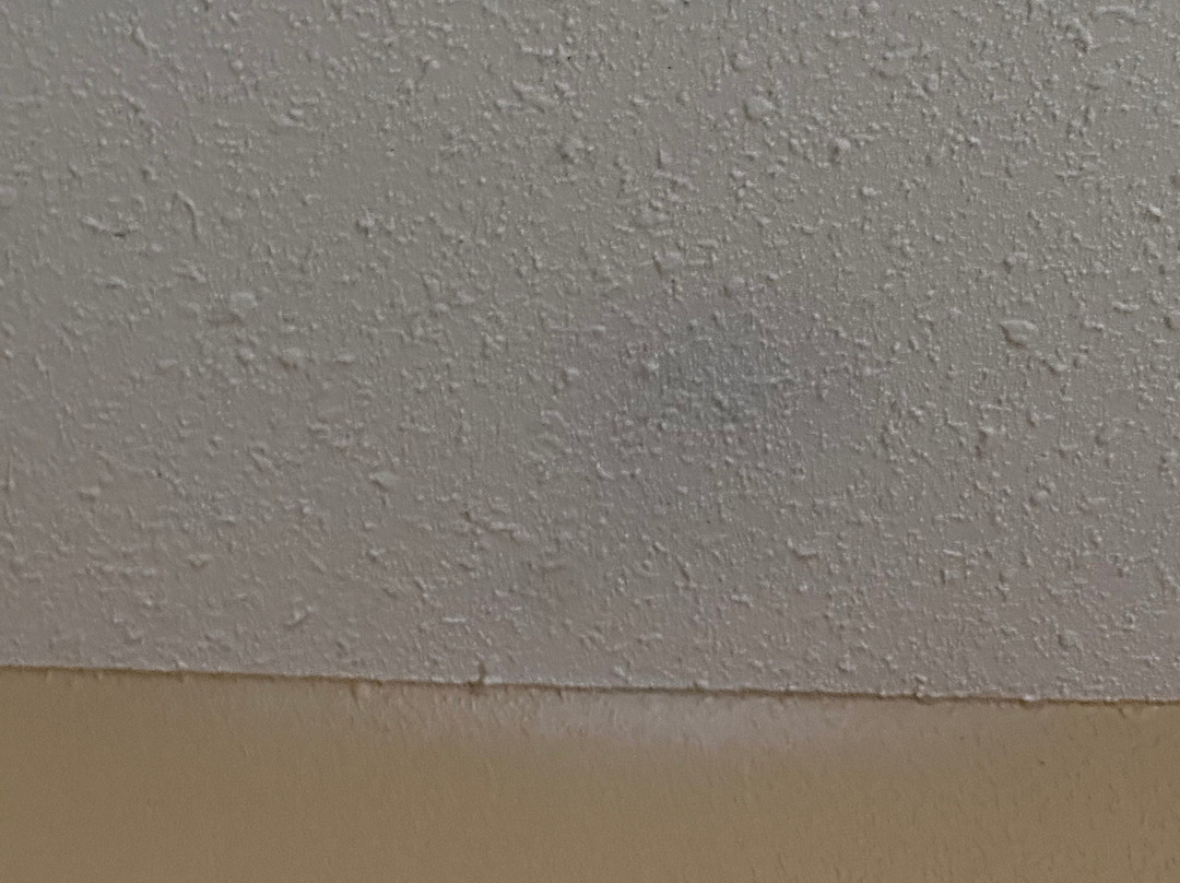 Best Western Plus Thornburg Inn & Suites主图