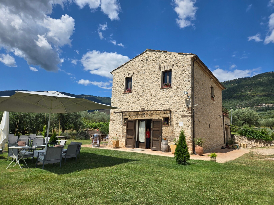 Azienda Vitivinicola Pileum-Piglio必去景点