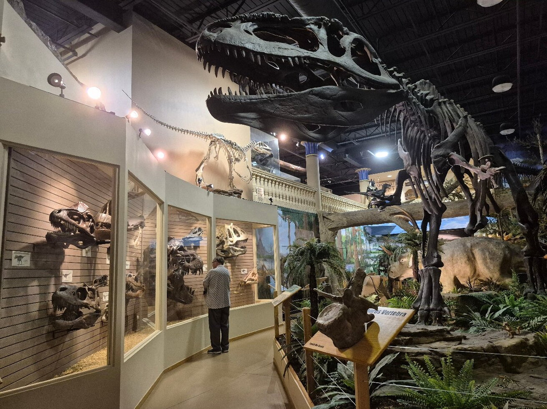 The Dinosaur Store-可可海滩必去景点