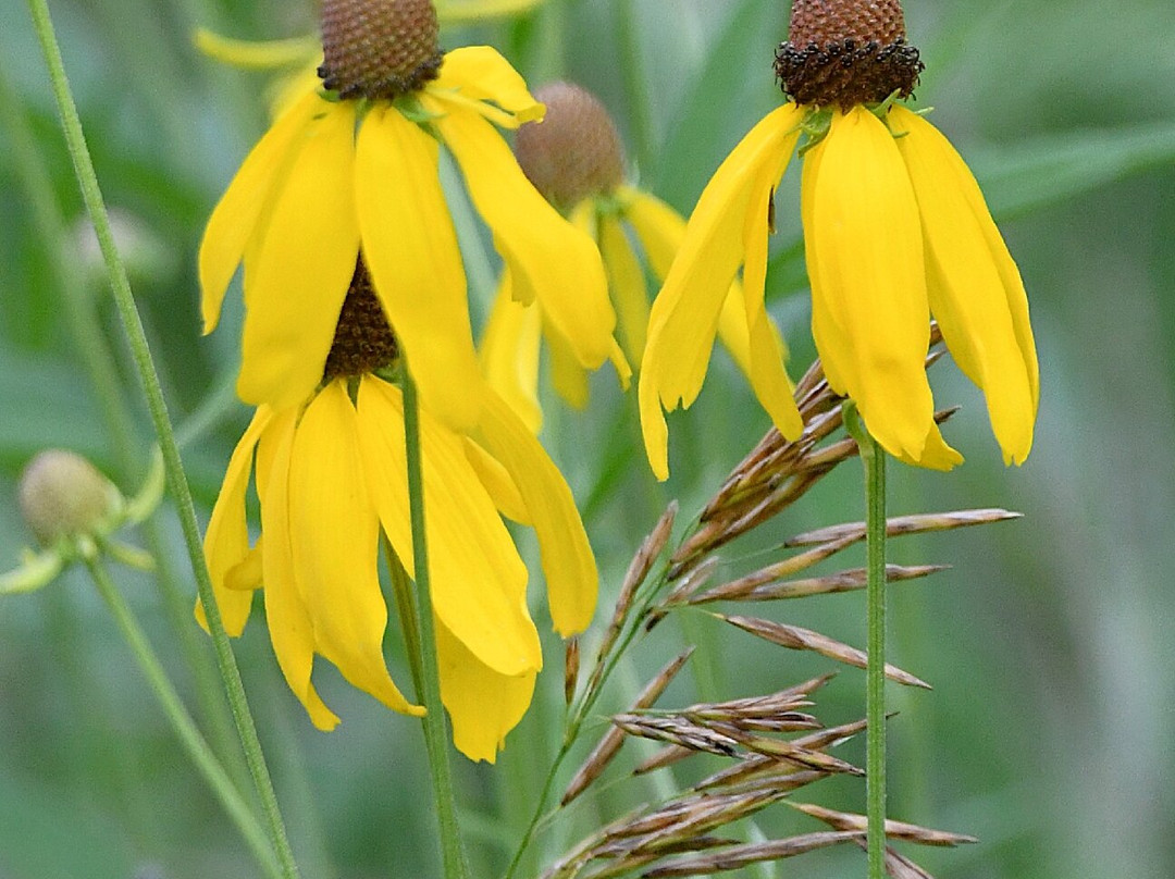Ice Age Trail-Cross Plains必去景点