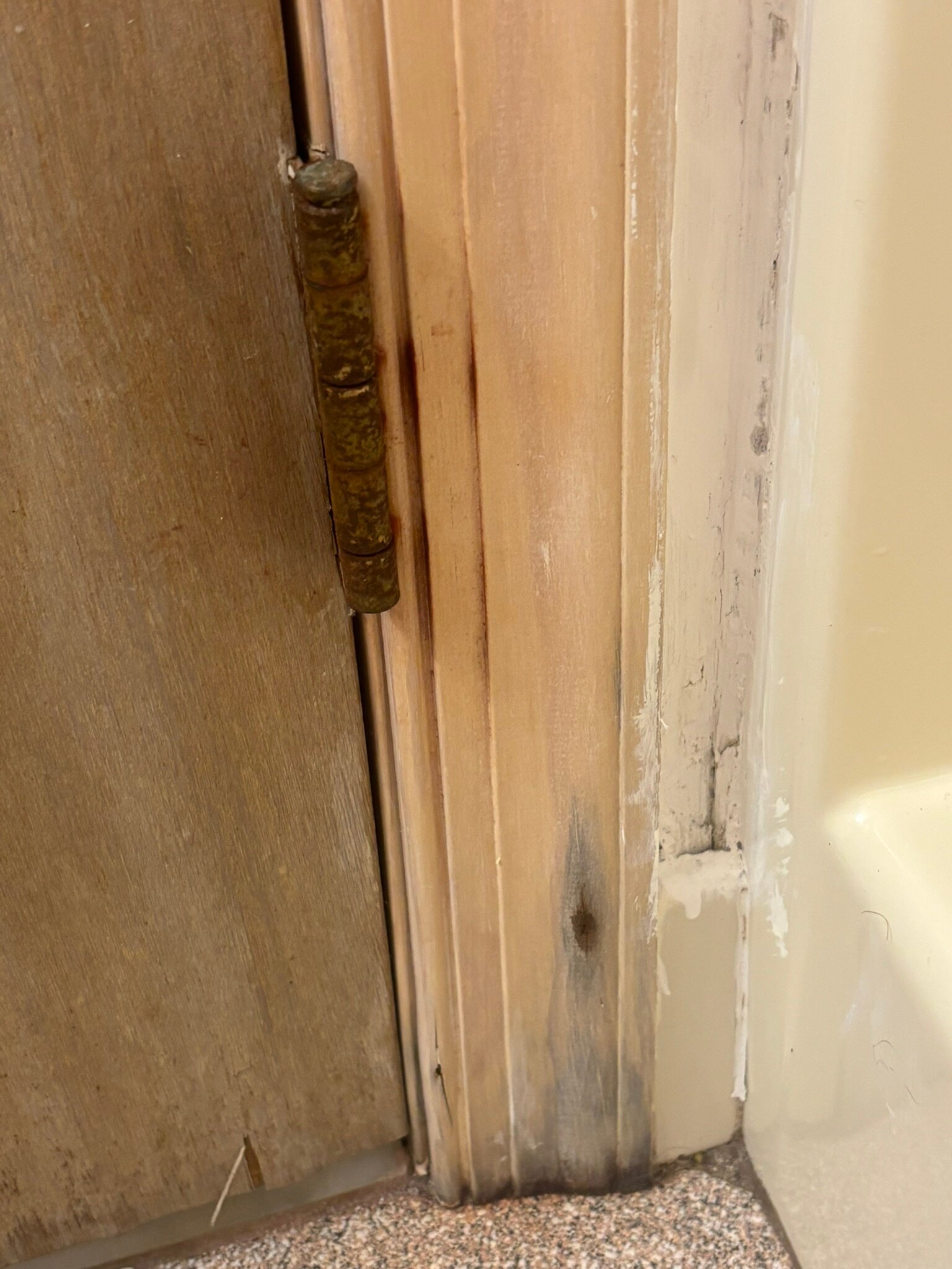 Cape Harbor Motor Inn-官方