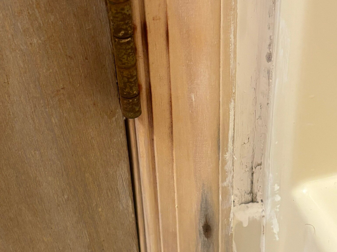 Cape Harbor Motor Inn主图