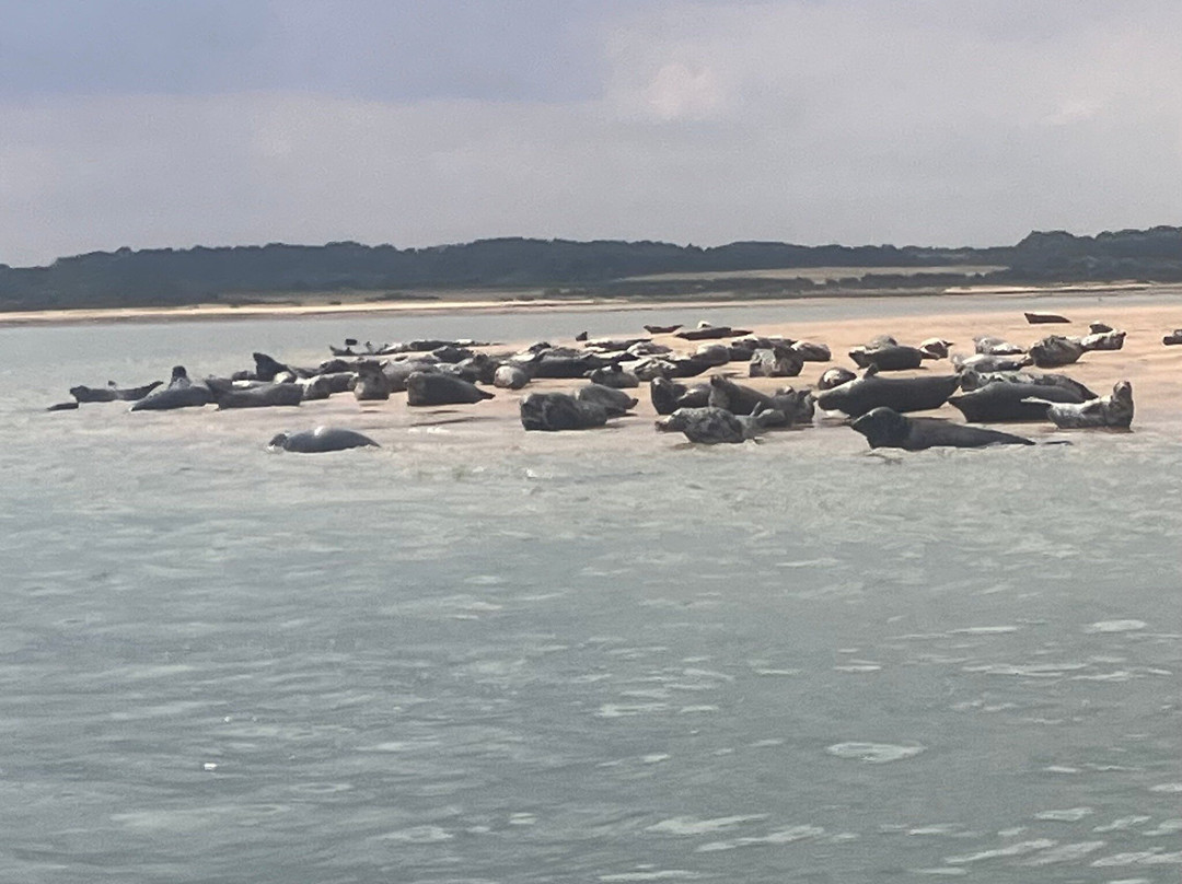 Temples Seal Trips & Blakeney Point-Morston必去景点