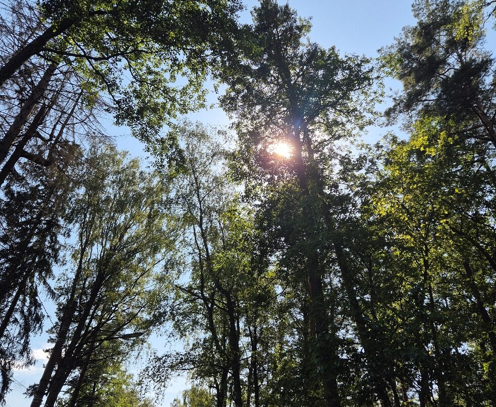 Natural Sanctuary Komarovskiy Bereg-Komarovo必去景点