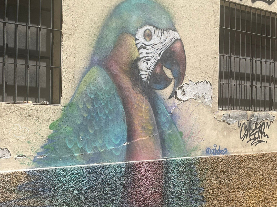 Street Art Malaga-马拉加必去景点