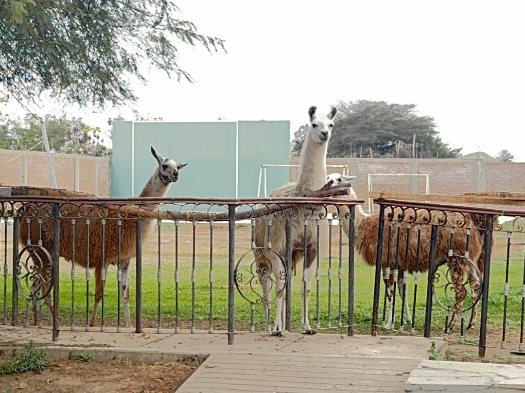 Hotel Hacienda San Juan Resort主图