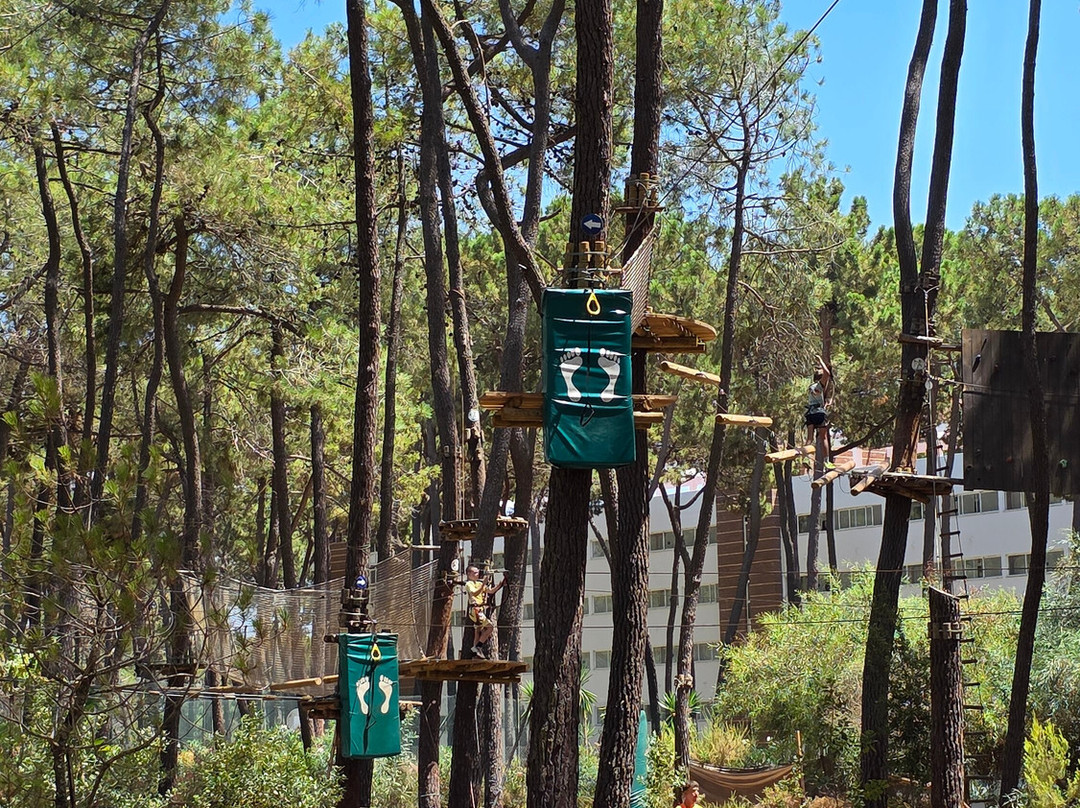 Aventura Amazonia Marbella-太阳海岸必去景点