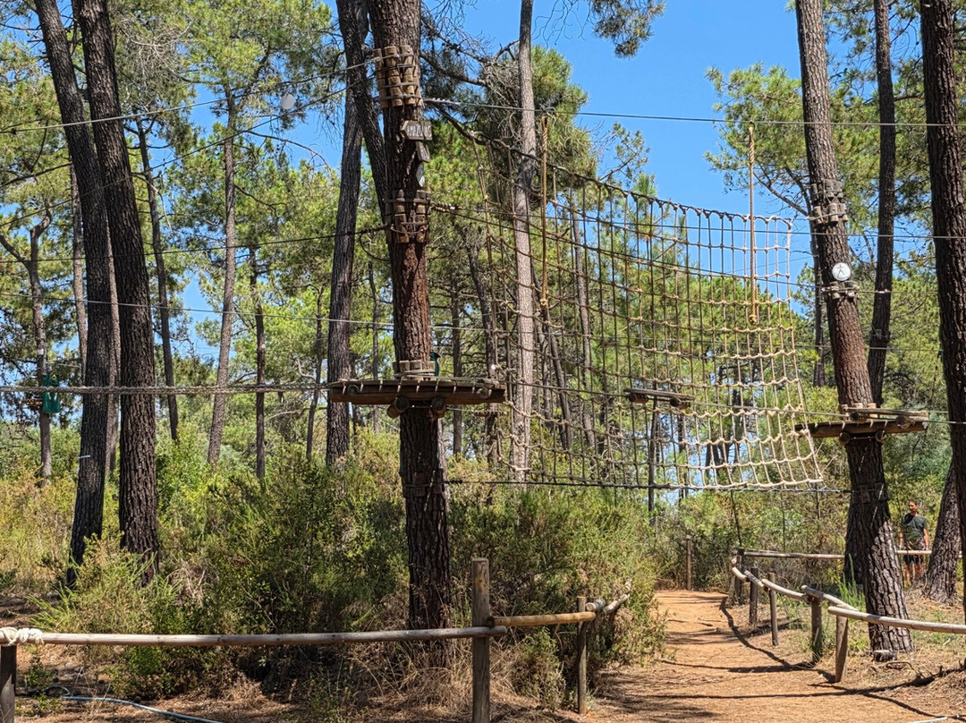 Aventura Amazonia Marbella-太阳海岸必去景点