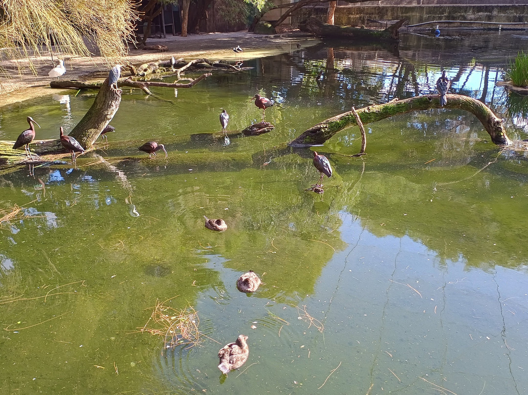 珀斯动物园-南珀斯必去景点