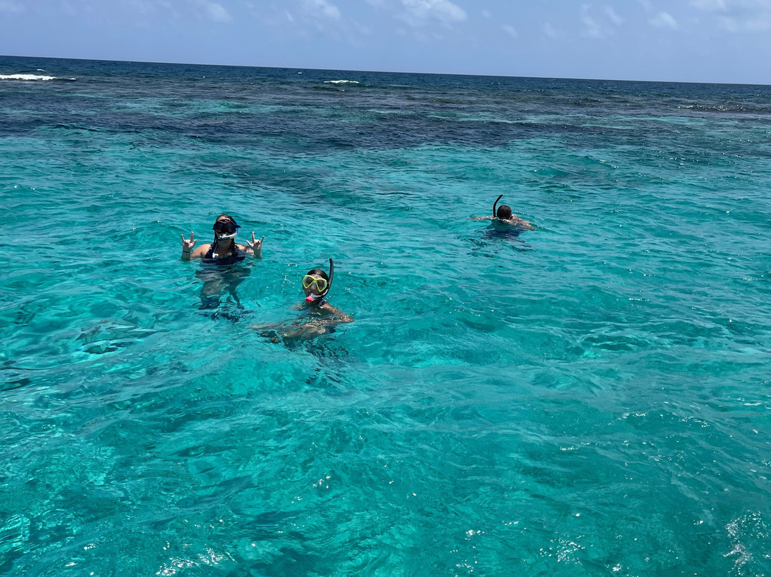 Blue Haven Charters-Rum Point必去景点