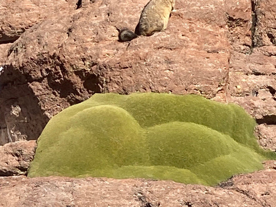 Expediciones Monte Blanco-乌尤尼必去景点