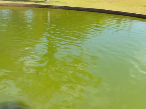 Vinícola Casa Vitor-巴西利亚必去景点