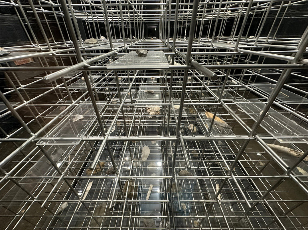 Prehistory and Archaeology Museum of Cantabria-桑坦德必去景点