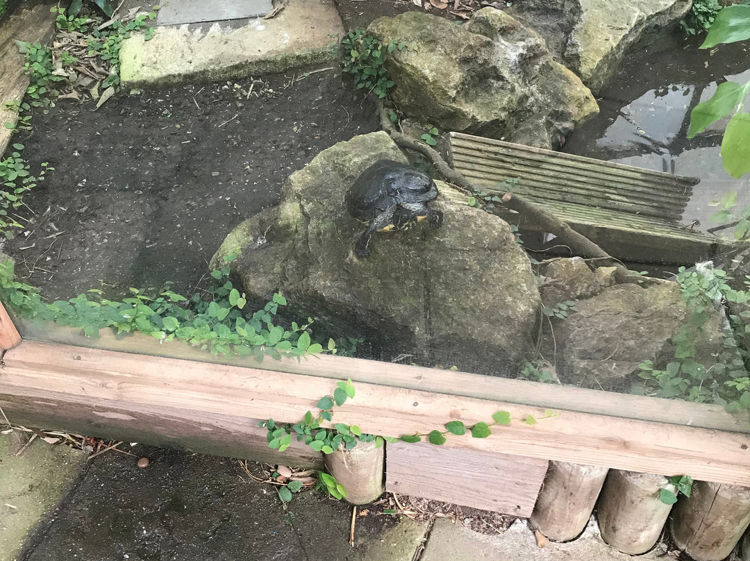 Bugtopia Hornsea Zoo-Hornsea必去景点