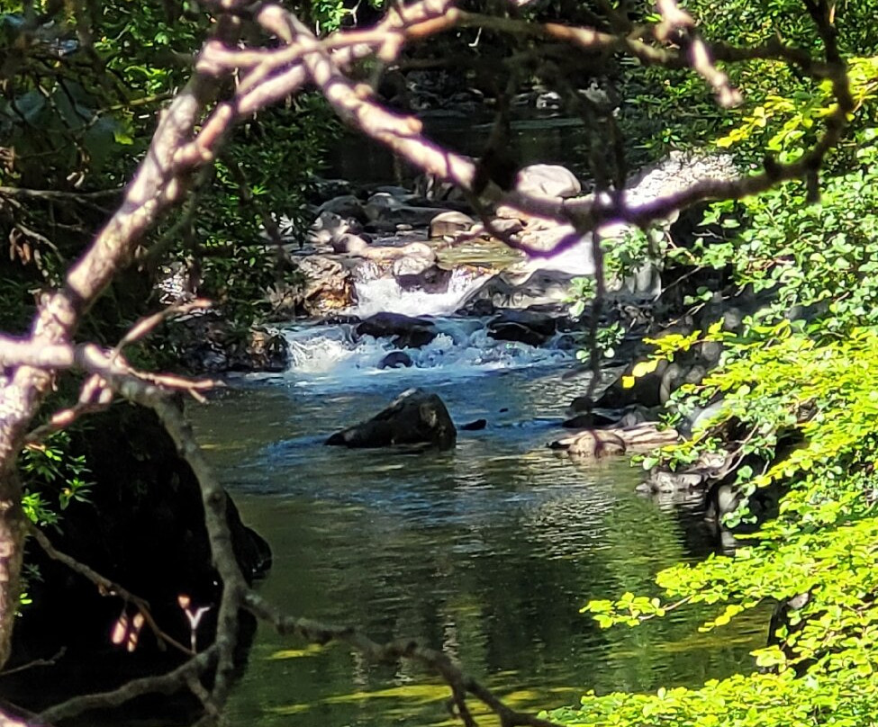 Loch Lomond Faerie Trail-拉斯必去景点
