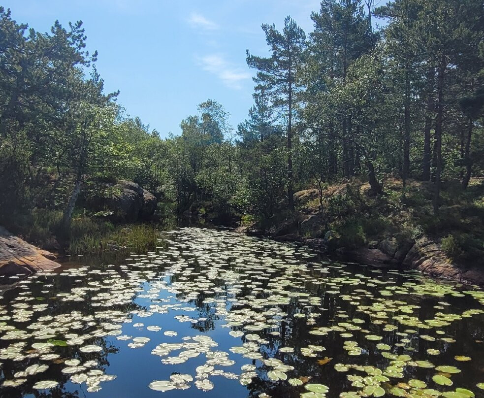 Baneheia-克里斯蒂安桑必去景点