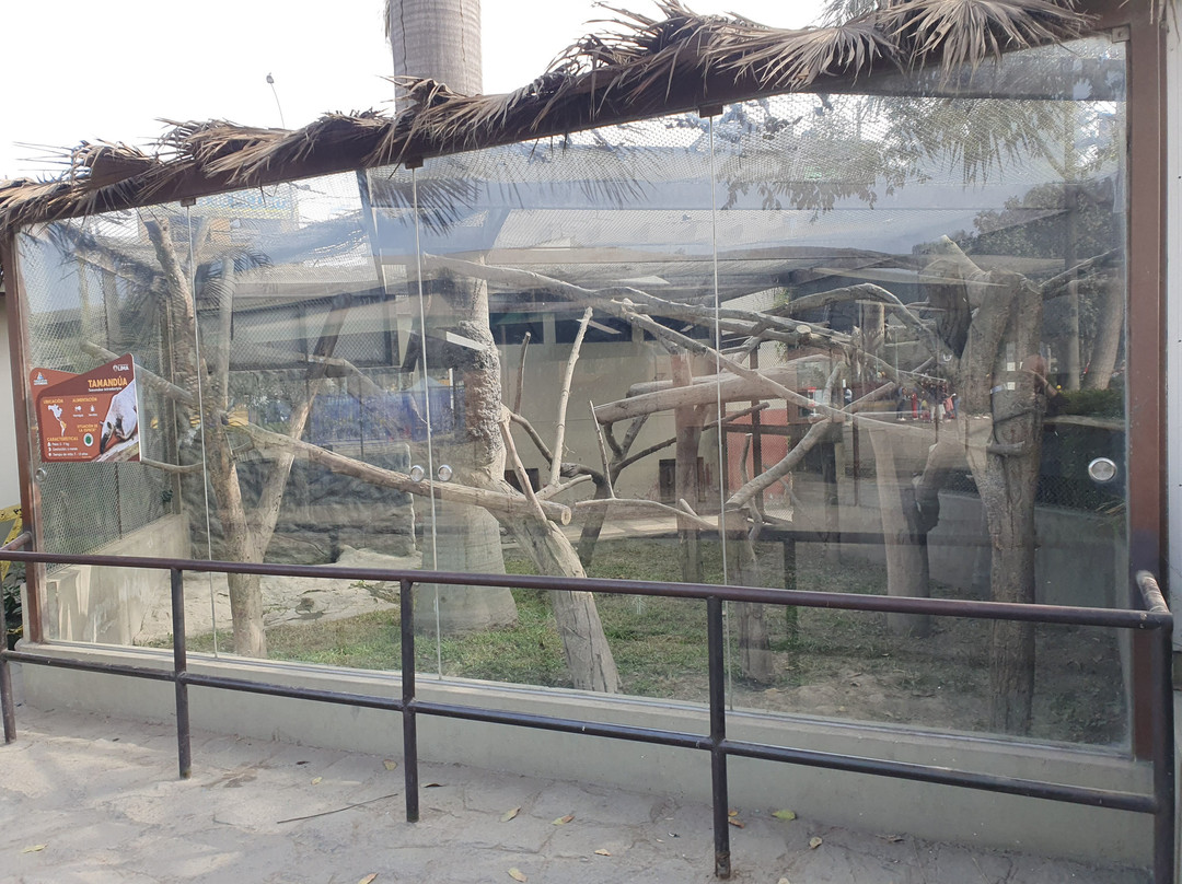 Parque Zoologico Huachipa-利马必去景点