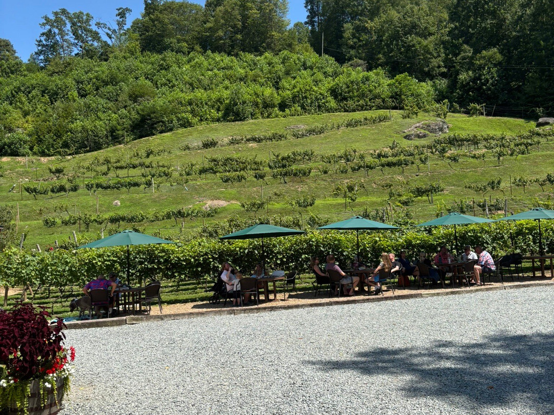 Grandfather Vineyard & Winery-Banner Elk必去景点