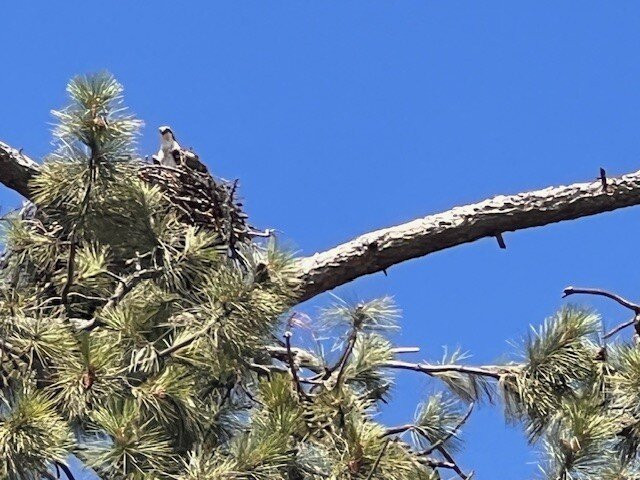 Outdoors Inn Sandpoint | Ponderay主图