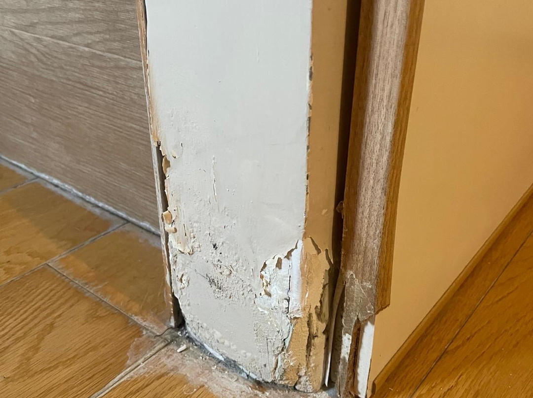 B&B Betulla dell'Etna主图