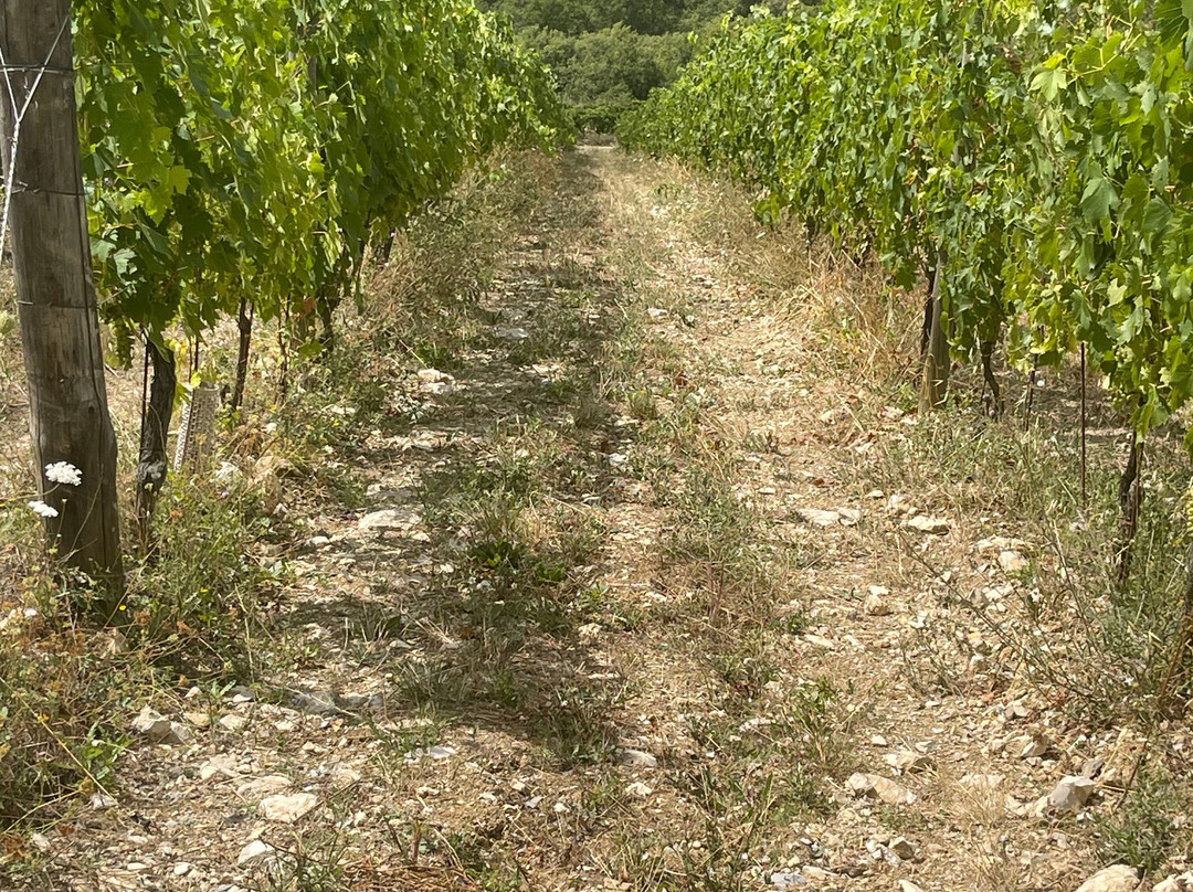 Istine-拉达因基安蒂必去景点