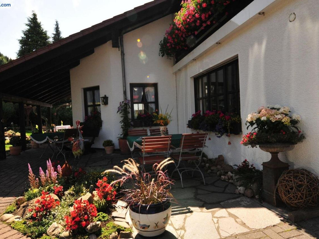 Bleiwasche酒店住宿-Tannenhof