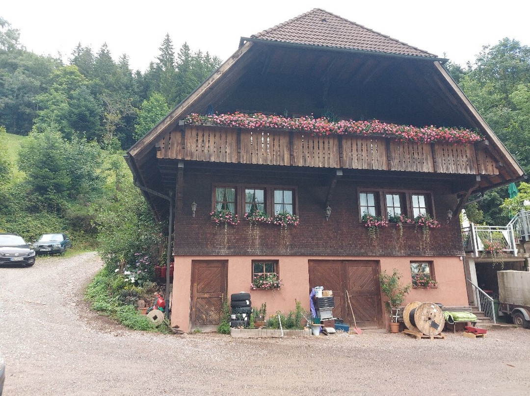 Pension Erzwaesche主图