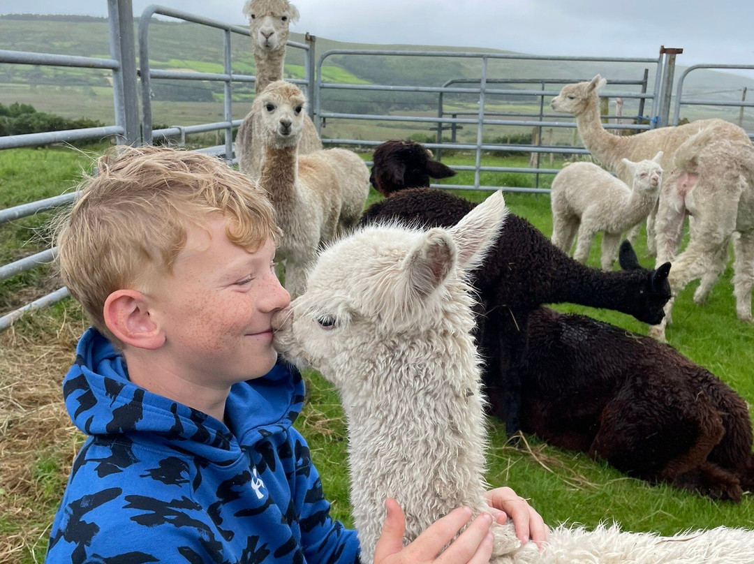 Hidden Hills Waterville-Waterville必去景点