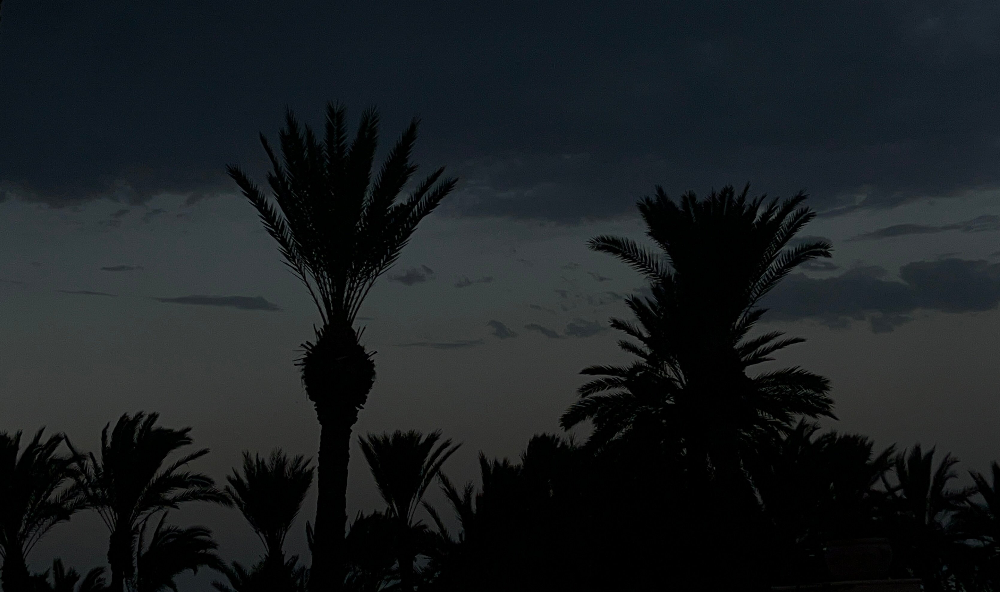 El Ksar Resort & Thalasso-泳池