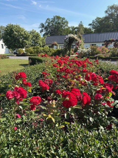 Gränsö Slott主图