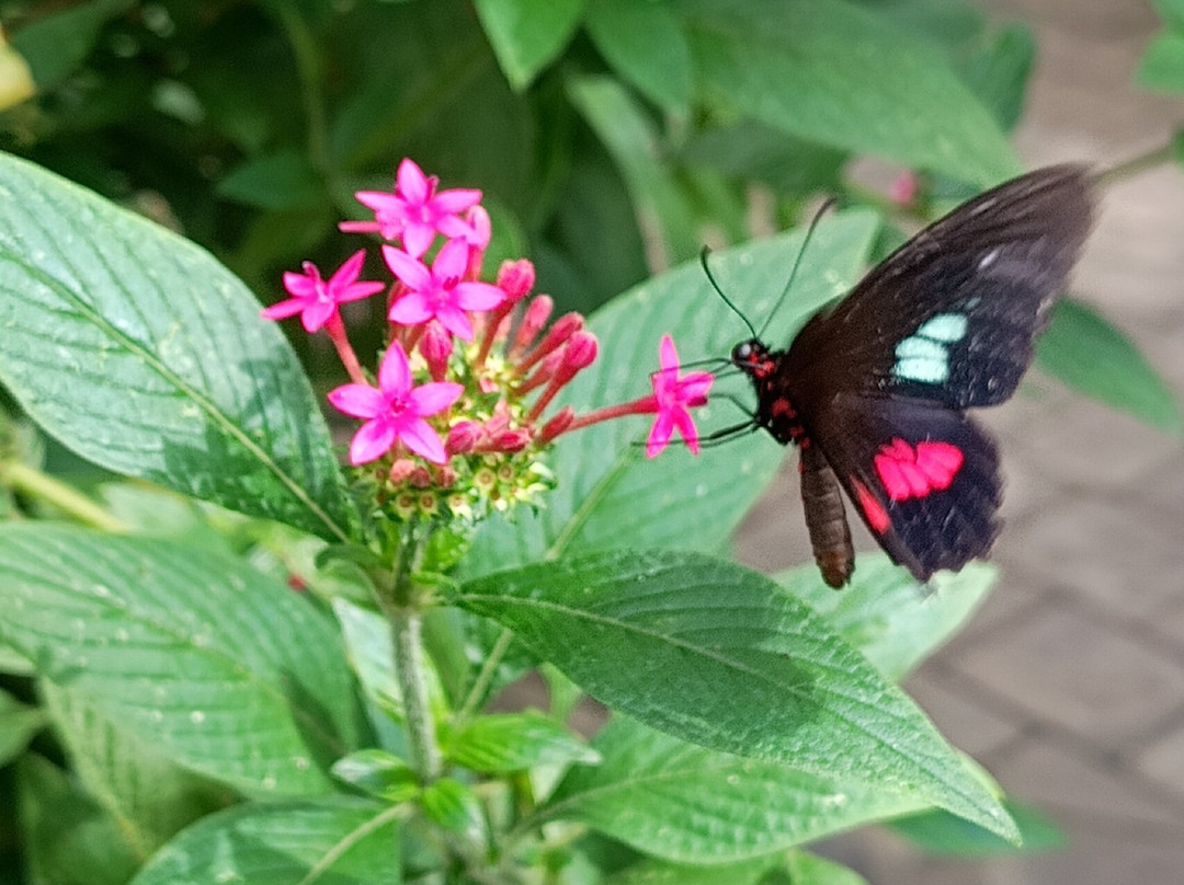 Portsmouth Natural History Museum-普兹茅斯必去景点