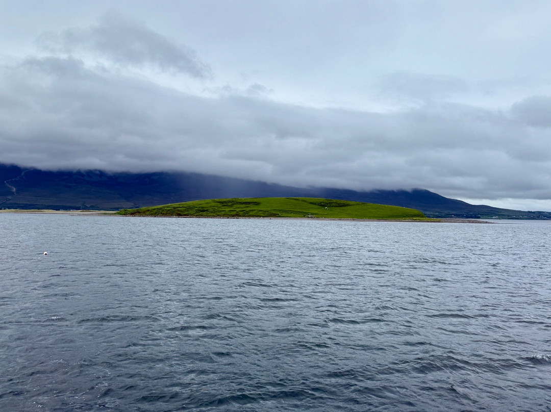 Clewbay Cruises-韦斯特波特必去景点