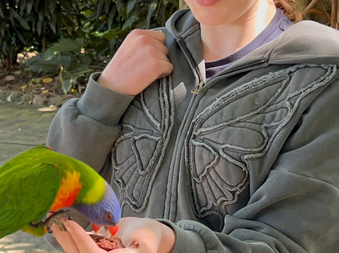 Rockhampton Zoo-罗克汉普顿必去景点