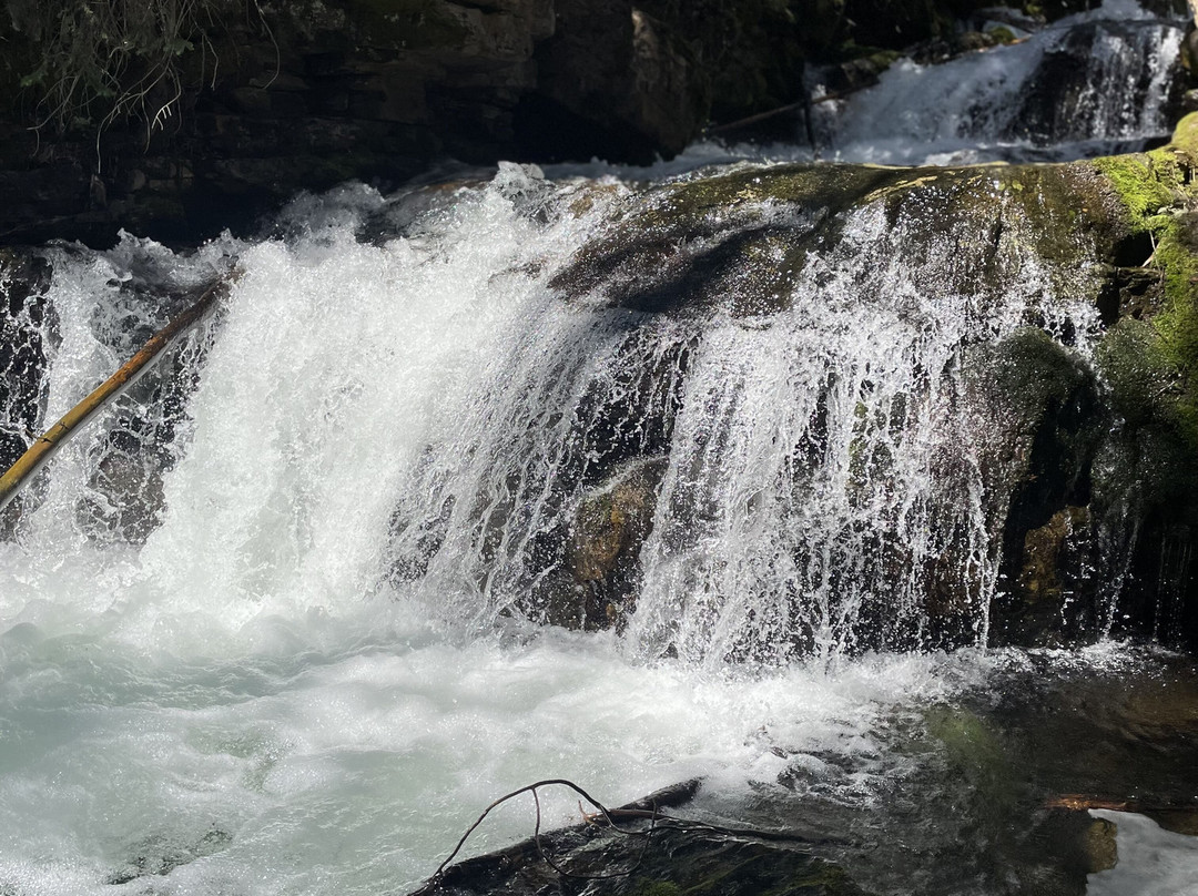 Troll Falls-卡那那斯基斯必去景点