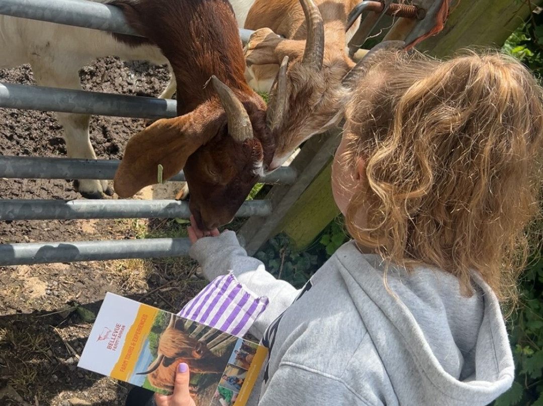 Bellevue Farm Tours-Blackwaterfoot必去景点