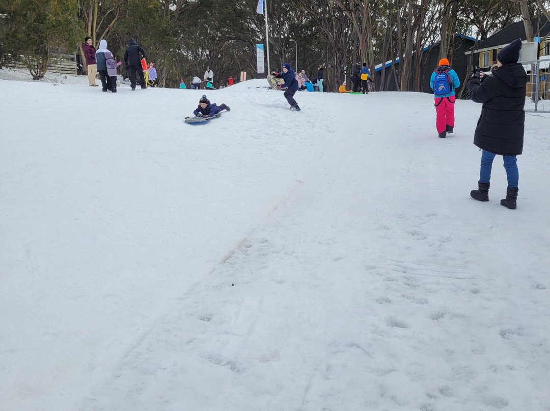 Mount Baw Baw Alpine Resort-Mount Baw Baw必去景点