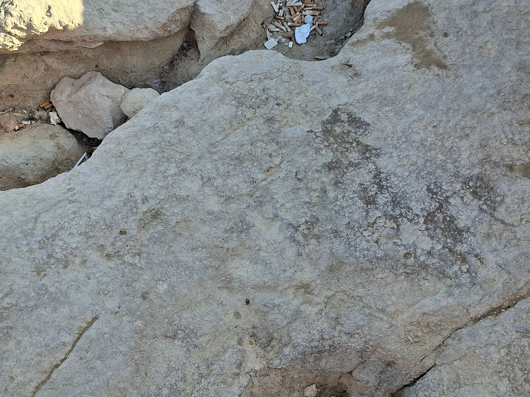 St. Peter’s Pool-Marsaxlokk必去景点