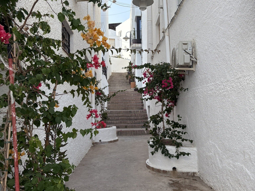 Playa De Agua Amarga-Agua Amarga必去景点