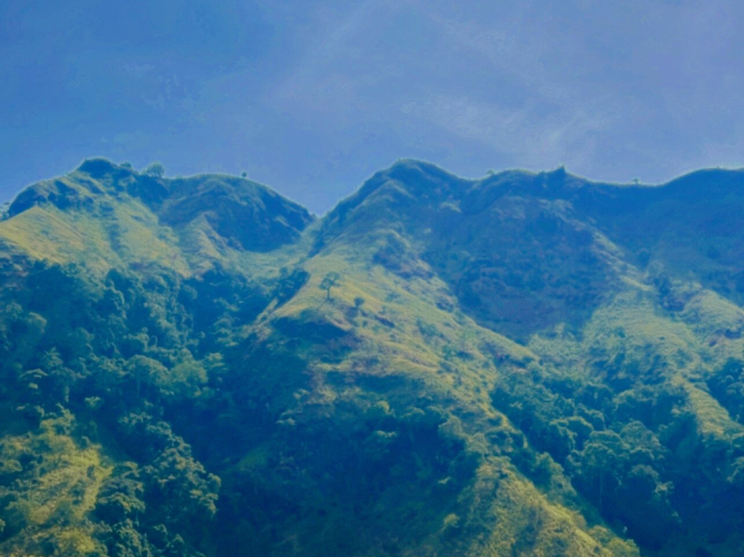 Revival Ceylon Tours-Kuliyapitiya必去景点