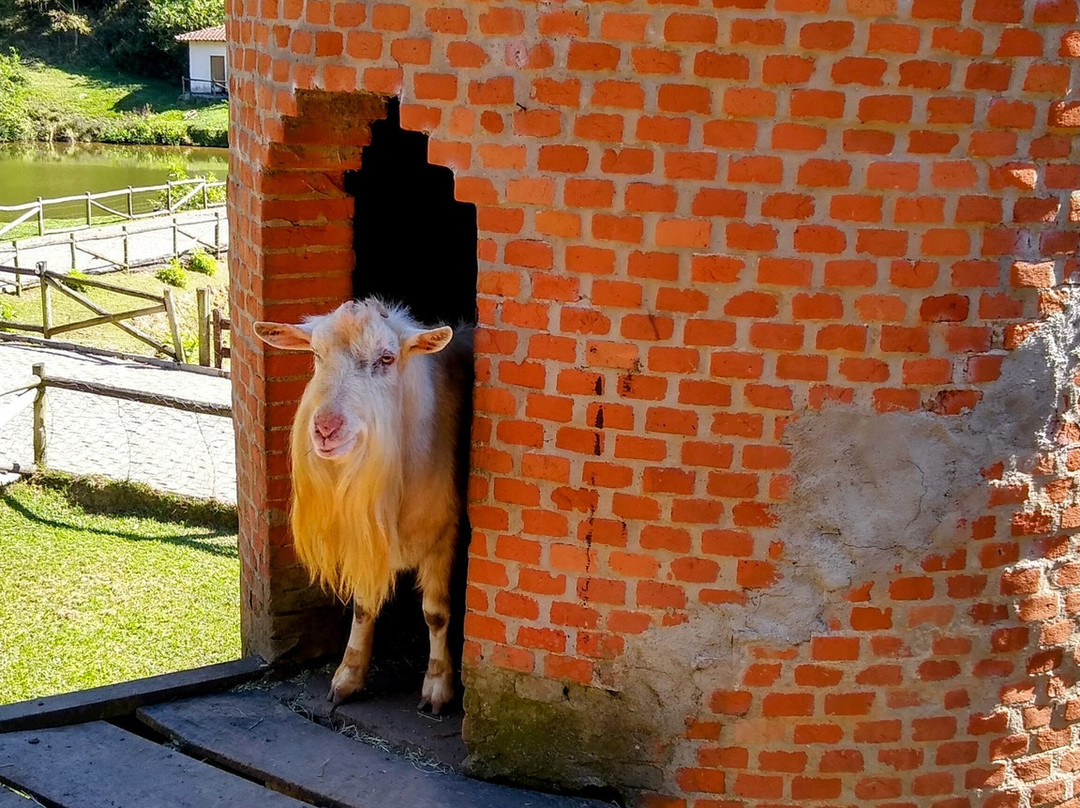 Hotel Fazenda Suica Le Canton主图