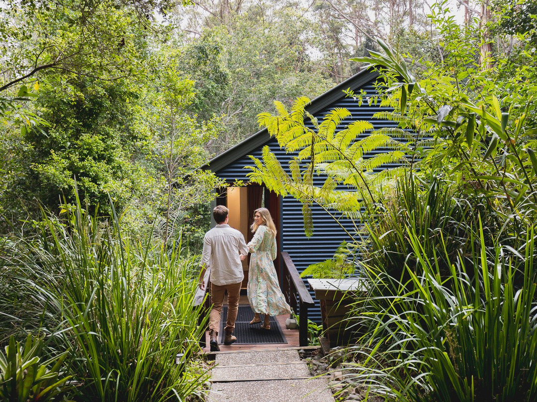 Kondalilla Eco Resort主图