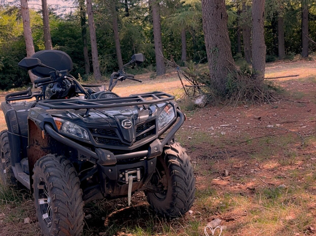 Istra Grand Tour-Vizinada必去景点