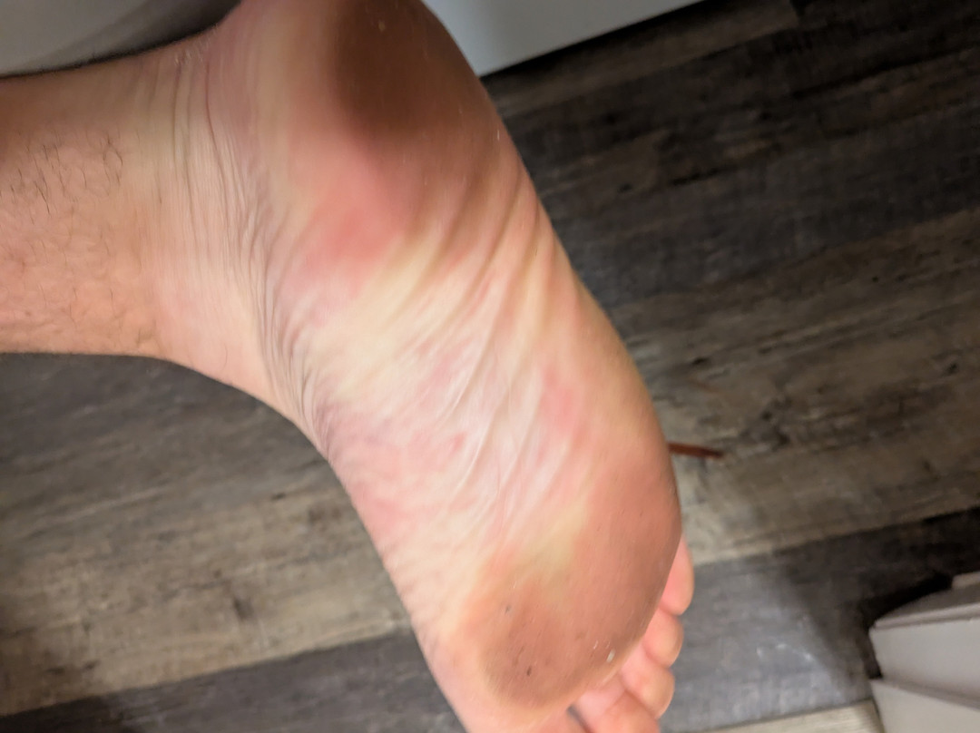 Starlight Lodge Cape Cod主图